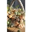 Home Decor and Accessories ef_pc_home0v4477p00022 in Sri Lanka